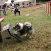 foire-haricots 2011-09-17et18